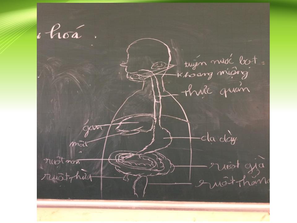 Sáng kiến kinh nghiệm Phương pháp - Kĩ thuật dạy học tích cực trong khoa học tự nhiên (phân môn Sinh học) trang 10