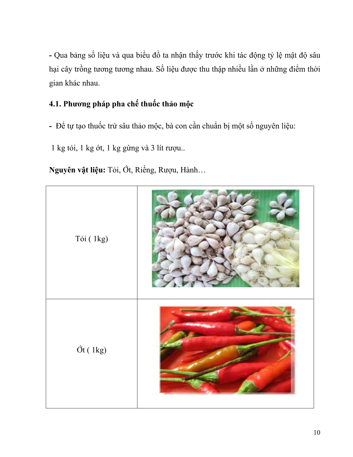 SKKN Hướng dẫn học sinh trường THPT số III Bảo Yên pha chế thuốc thảo mộc trong sản xuất rau an toàn ở xã Nghĩa Đô – Bảo Yên – Lào Cai trang 10 SKKN Hướng dẫn học sinh trường THPT số III Bảo Yên pha chế thuốc thảo mộc trong sản xuất rau an toàn ở xã Nghĩa Đô – Bảo Yên – Lào Cai trang 10